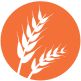 Gluten.png